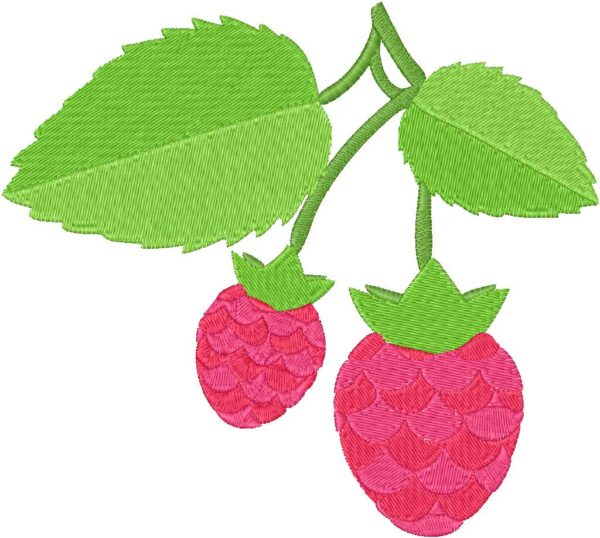 Raspberries Design, 7 sizes, Machine Embroidery Design, Raspberries shapes Design, Instant