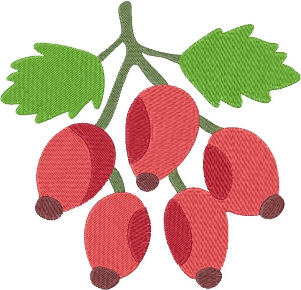 Brier Embroidery Design, 7 sizes, Machine Embroidery Design, Brier shapes Design, Instant