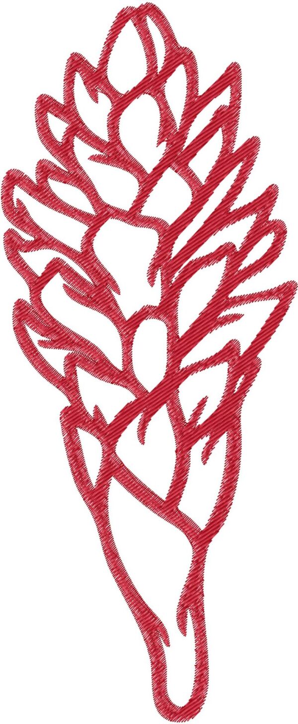 Ginger Design, 7 sizes, Machine Embroidery Design, Ginger shapes Design, Instant